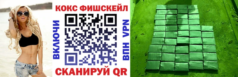 где найти наркотики  Озёрск  Кокаин Fish Scale 
