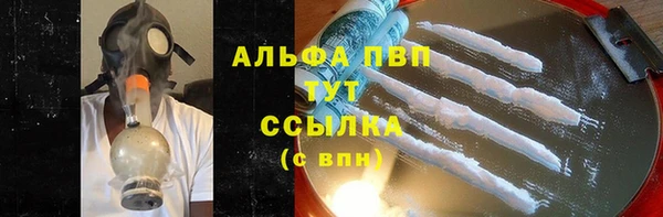 spice Белокуриха