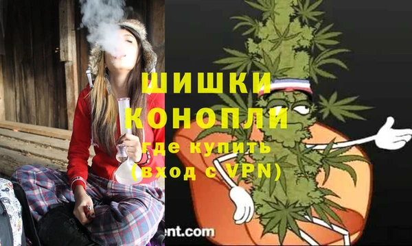 spice Белокуриха