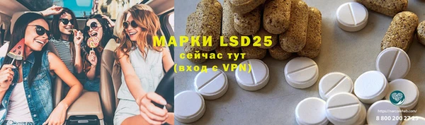PSILOCYBIN Белоозёрский