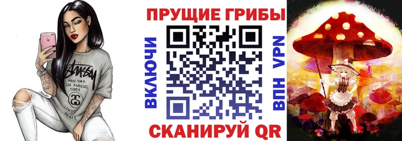 закладка  Озёрск  Псилоцибиновые грибы Magic Shrooms 